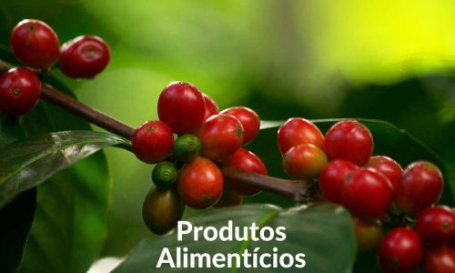 produtos alimenticios